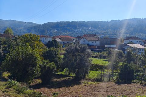 Landejendom i Braga, Braga, Braga - € 231.000 | Ref: DI25112025 - foto 5