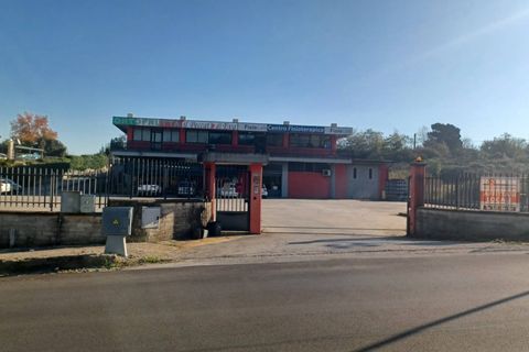 Erhvervsejendom i Ceccano, Frosinone, Ceccano - € 2.000.000 | Ref: 2137 - foto 15