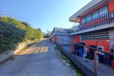 Erhvervsejendom i Ceccano, Frosinone, Ceccano - € 2.000.000 | Ref: 2137 - foto 21