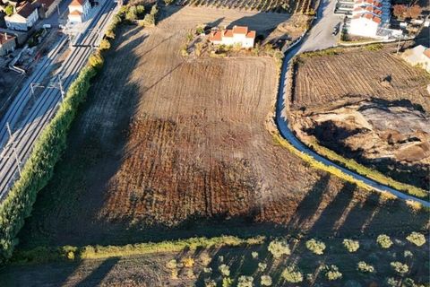 Helårsgrund i Belmonte, Castelo Branco, Belmonte - € 80.000 | Ref: TER_163 - foto 1