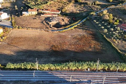 Helårsgrund i Belmonte, Castelo Branco, Belmonte - € 80.000 | Ref: TER_163 - foto 3