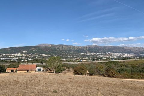 Terra a Ferro, Castelo Branco, Ferro - € 430.000 | Ref: C0473-00286 - foto 2
