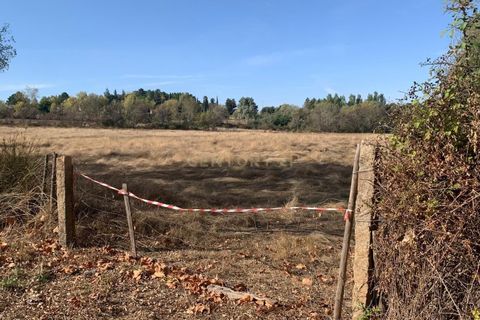 Terra a Ferro, Castelo Branco, Ferro - € 430.000 | Ref: C0473-00286 - foto 4
