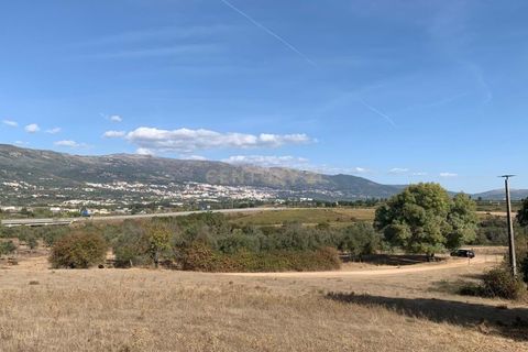 Terra a Ferro, Castelo Branco, Ferro - € 430.000 | Ref: C0473-00286 - foto 5