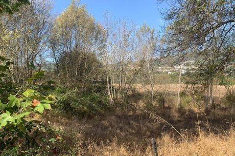 Terra a Ferro, Castelo Branco, Ferro - € 430.000 | Ref: C0473-00286 - foto 6
