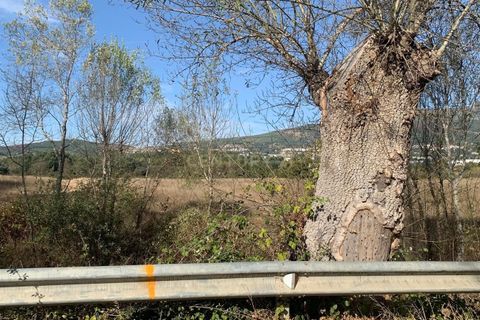 Terra a Ferro, Castelo Branco, Ferro - € 430.000 | Ref: C0473-00286 - foto 7