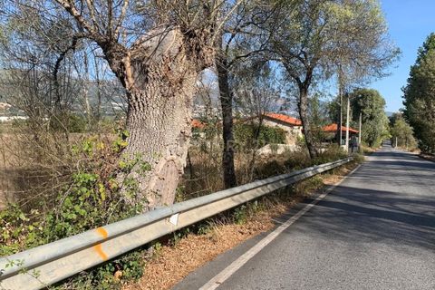 Terra a Ferro, Castelo Branco, Ferro - € 430.000 | Ref: C0473-00286 - foto 8