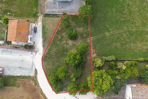 Terra a Treia, Macerata, Treia - € 90.000 | Ref: PRI43 - foto 2