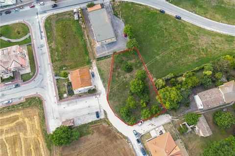 Terra a Treia, Macerata, Treia - € 90.000 | Ref: PRI43 - foto 4