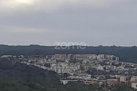 Helårsgrund i Pombal, Leiria, Pombal - € 32.500 | Ref: ZMPT582825 - foto 1