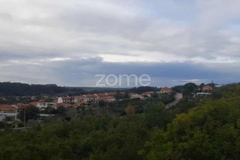 Helårsgrund i Pombal, Leiria, Pombal - € 32.500 | Ref: ZMPT582825 - foto 3