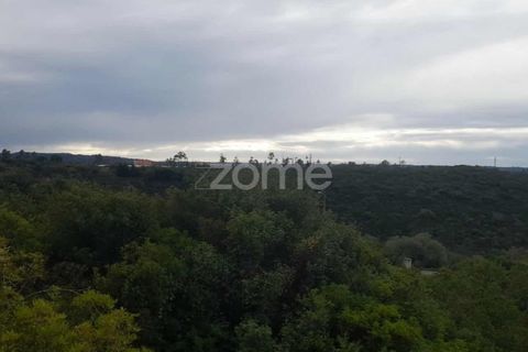Helårsgrund i Pombal, Leiria, Pombal - € 32.500 | Ref: ZMPT582825 - foto 4