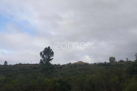 Helårsgrund i Pombal, Leiria, Pombal - € 32.500 | Ref: ZMPT582825 - foto 6
