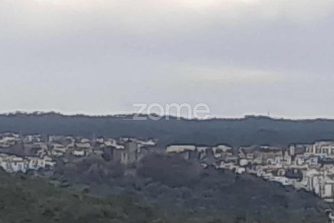 Helårsgrund i Pombal, Leiria, Pombal - € 32.500 | Ref: ZMPT582825 - foto 7