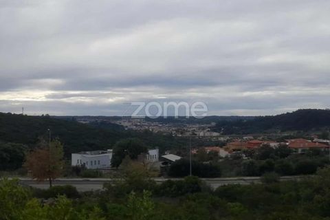 Helårsgrund i Pombal, Leiria, Pombal - € 32.500 | Ref: ZMPT582825 - foto 8