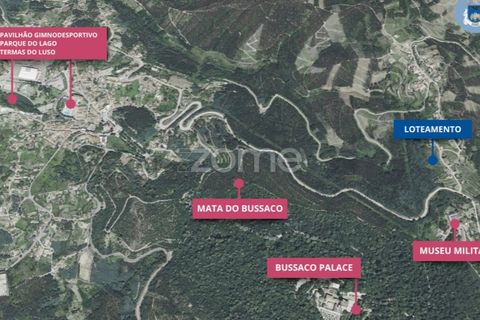 Helårsgrund i Luso, Aveiro, Luso - € 235.000 | Ref: ZMPT576687 - foto 2