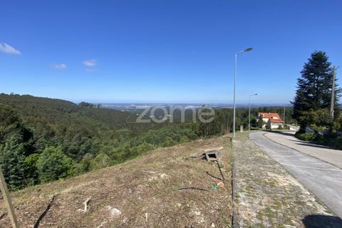 Helårsgrund i Luso, Aveiro, Luso - € 235.000 | Ref: ZMPT576687 - foto 11