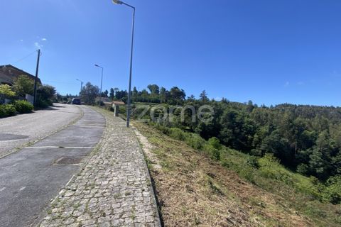 Helårsgrund i Luso, Aveiro, Luso - € 235.000 | Ref: ZMPT576687 - foto 12