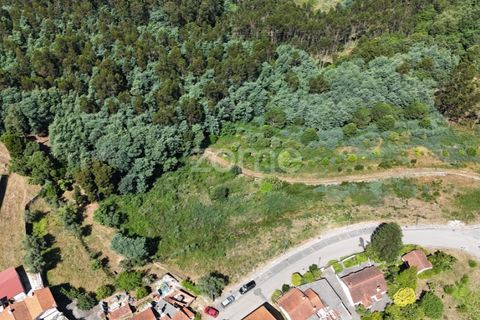 Helårsgrund i Luso, Aveiro, Luso - € 235.000 | Ref: ZMPT576687 - foto 13