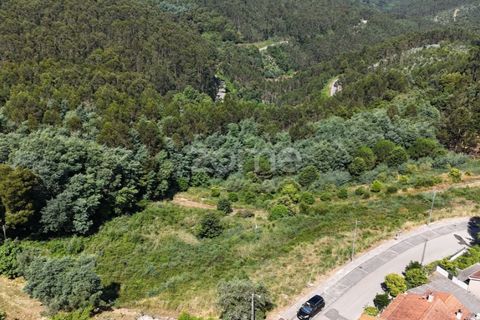 Helårsgrund i Luso, Aveiro, Luso - € 235.000 | Ref: ZMPT576687 - foto 14