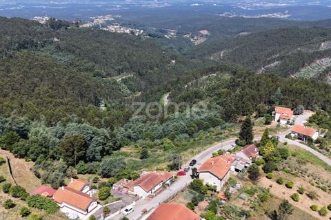 Helårsgrund i Luso, Aveiro, Luso - € 26.900 | Ref: ZMPT582891 - foto 4