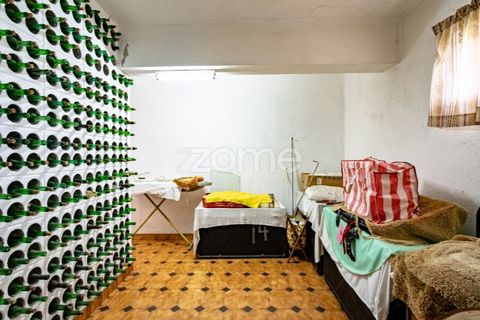 Villa a Anadia, Aveiro, Anadia - € 225.000 | Ref: ZMPT581480 - foto 26