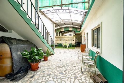 Villa a Anadia, Aveiro, Anadia - € 225.000 | Ref: ZMPT581480 - foto 27