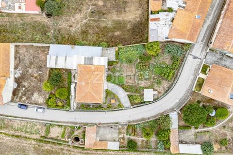 Villa a Anadia, Aveiro, Anadia - € 225.000 | Ref: ZMPT581480 - foto 37
