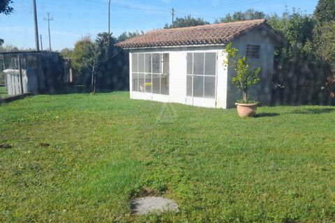 Villa a Asolo, Treviso, Asolo - € 270.000 | Ref: MG25003 - foto 12