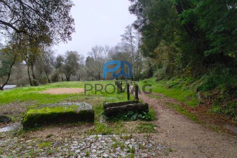 Villa i Ponte de Lima, Viana do Castelo, Ponte de Lima - € 220.000 | Ref: #252 - foto 40