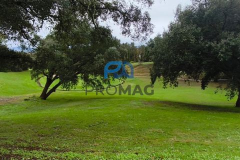 Villa i Ponte de Lima, Viana do Castelo, Ponte de Lima - € 220.000 | Ref: #252 - foto 45