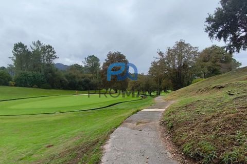 Villa i Ponte de Lima, Viana do Castelo, Ponte de Lima - € 220.000 | Ref: #252 - foto 48