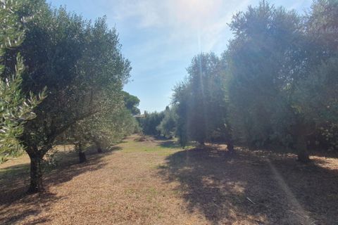 Villa i Rome, Rome, Rome - € 850.000 | Ref: FIORANELLO - foto 39
