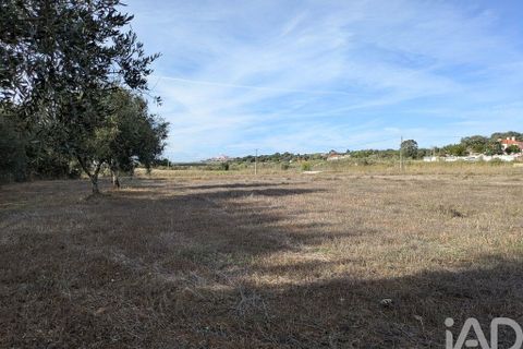 Tomt i Estremoz, Evora, Estremoz - € 20 000 | Ref: 748864 - foto 4