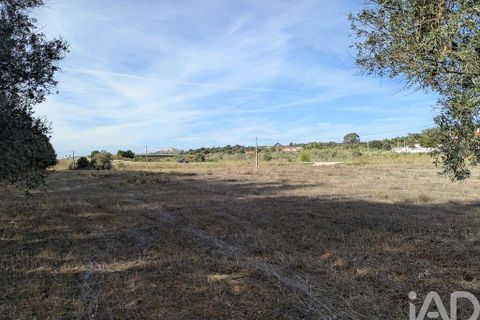 Tomt i Estremoz, Evora, Estremoz - € 20 000 | Ref: 748864 - foto 5
