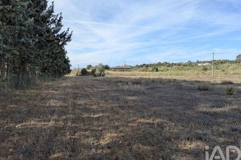 Tomt i Estremoz, Evora, Estremoz - € 20 000 | Ref: 748864 - foto 8