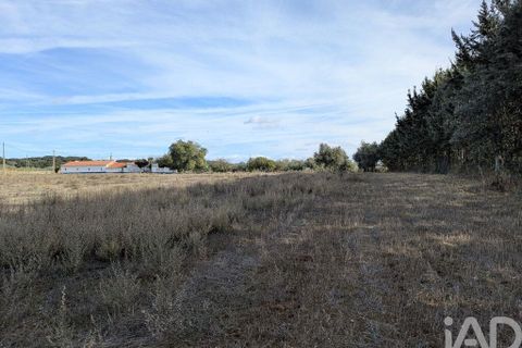 Tomt i Estremoz, Evora, Estremoz - € 20 000 | Ref: 748864 - foto 10