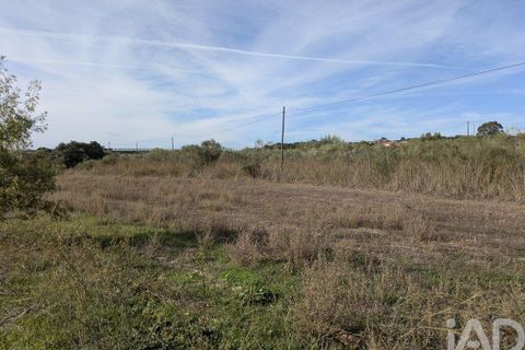 Tomt i Estremoz, Evora, Estremoz - € 20 000 | Ref: 748864 - foto 12