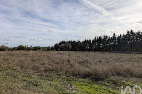 Tomt i Estremoz, Evora, Estremoz - € 20 000 | Ref: 748864 - foto 14