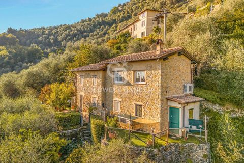 Landejendom i Camaiore, Lucca, Camaiore - € 550.000 | Ref: CBI129-2610-130580 - foto 1