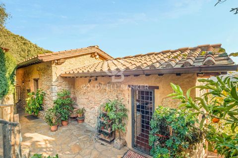 Landejendom i Camaiore, Lucca, Camaiore - € 550.000 | Ref: CBI129-2610-130580 - foto 2
