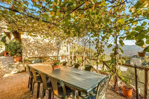 Landejendom i Camaiore, Lucca, Camaiore - € 550.000 | Ref: CBI129-2610-130580 - foto 3