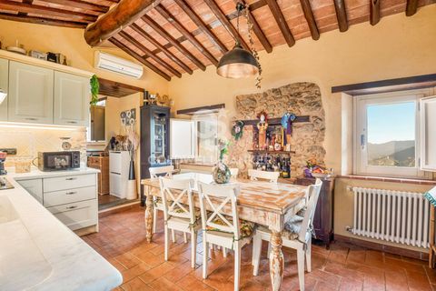 Landejendom i Camaiore, Lucca, Camaiore - € 550.000 | Ref: CBI129-2610-130580 - foto 9
