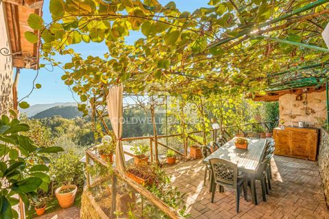 Landejendom i Camaiore, Lucca, Camaiore - € 550.000 | Ref: CBI129-2610-130580 - foto 16