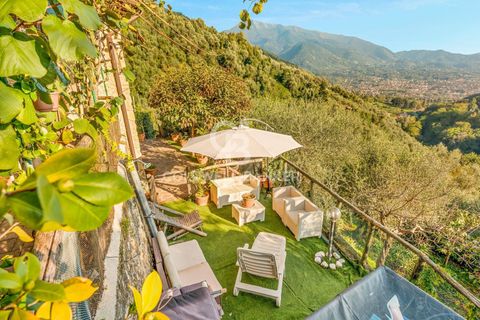 Landejendom i Camaiore, Lucca, Camaiore - € 550.000 | Ref: CBI129-2610-130580 - foto 17
