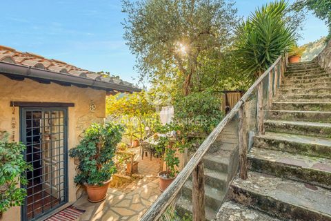 Landejendom i Camaiore, Lucca, Camaiore - € 550.000 | Ref: CBI129-2610-130580 - foto 18