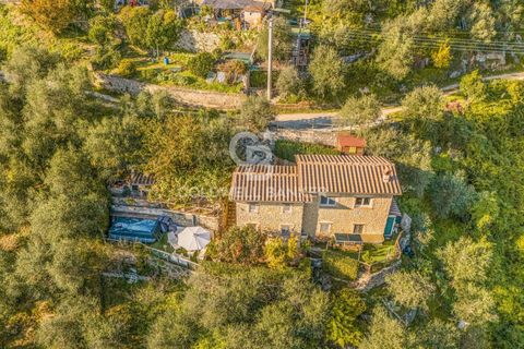 Landejendom i Camaiore, Lucca, Camaiore - € 550.000 | Ref: CBI129-2610-130580 - foto 20