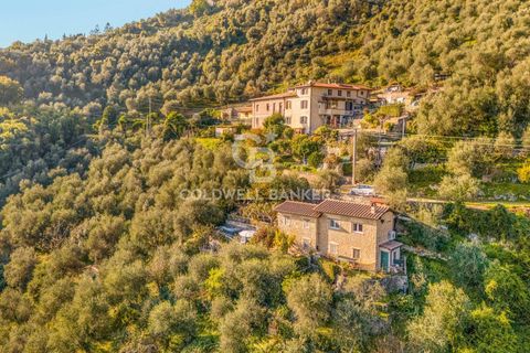 Landejendom i Camaiore, Lucca, Camaiore - € 550.000 | Ref: CBI129-2610-130580 - foto 21