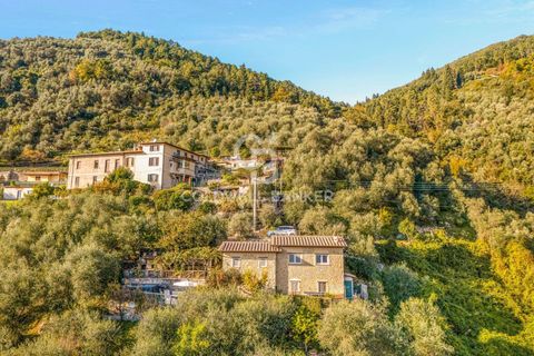 Landejendom i Camaiore, Lucca, Camaiore - € 550.000 | Ref: CBI129-2610-130580 - foto 22
