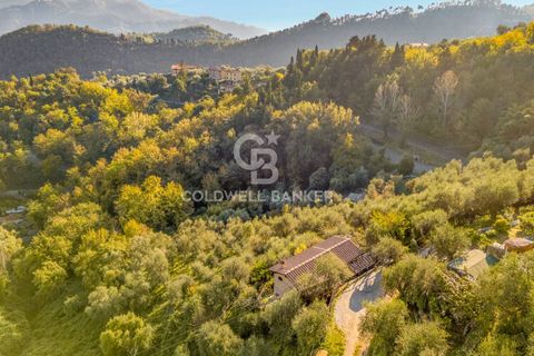 Landejendom i Camaiore, Lucca, Camaiore - € 550.000 | Ref: CBI129-2610-130580 - foto 23